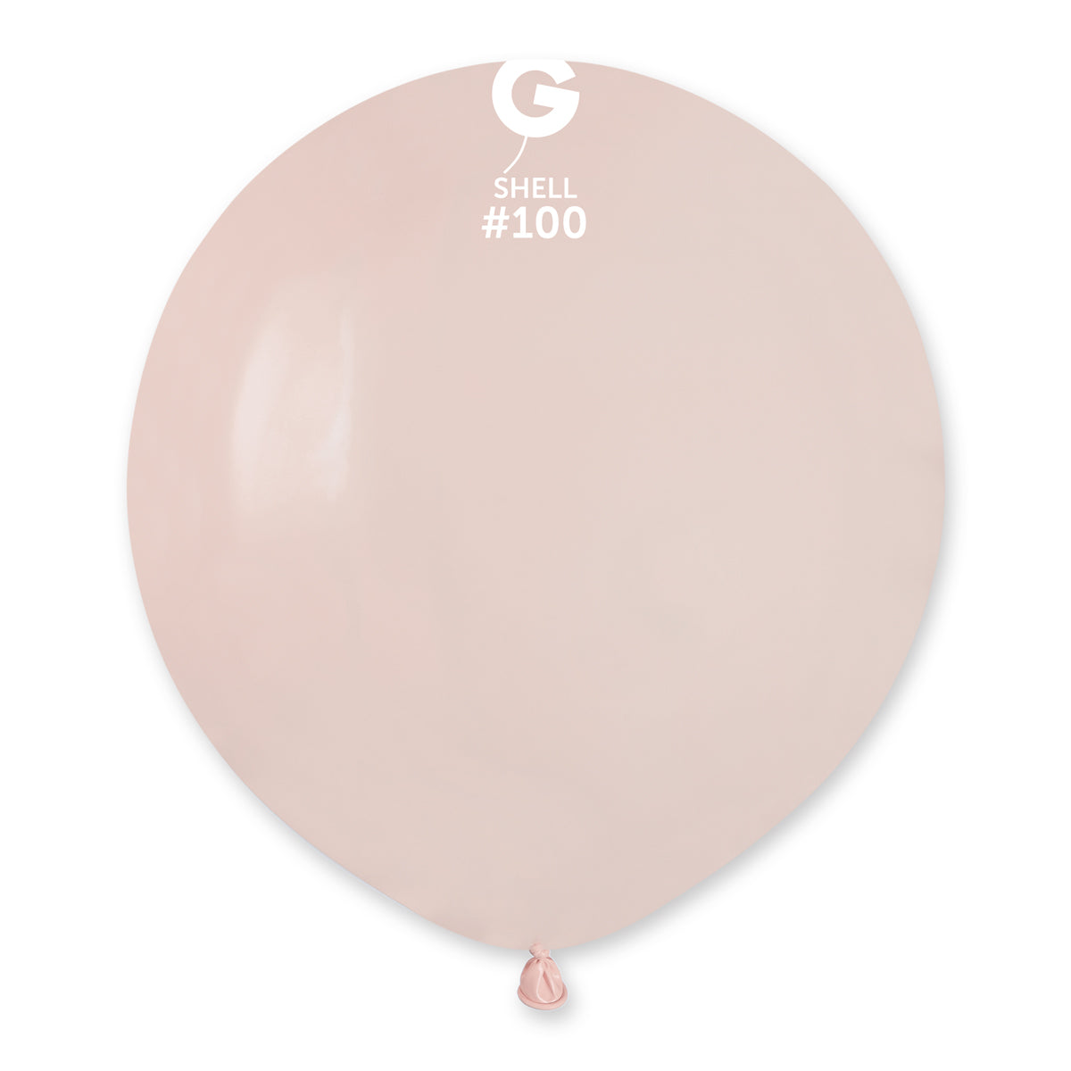 Palloncini in lattice 19" #100 Shell 5pz